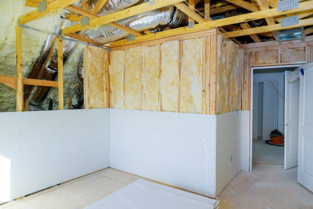 Best Specialized Insulation Services in Eagle Pass, TX