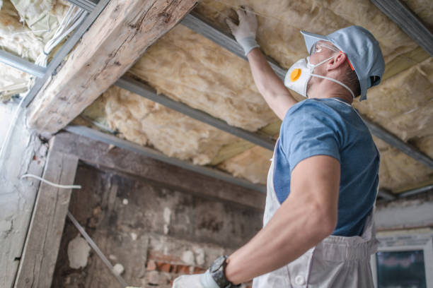 Best Commercial Insulation in Eagle Pass, TX