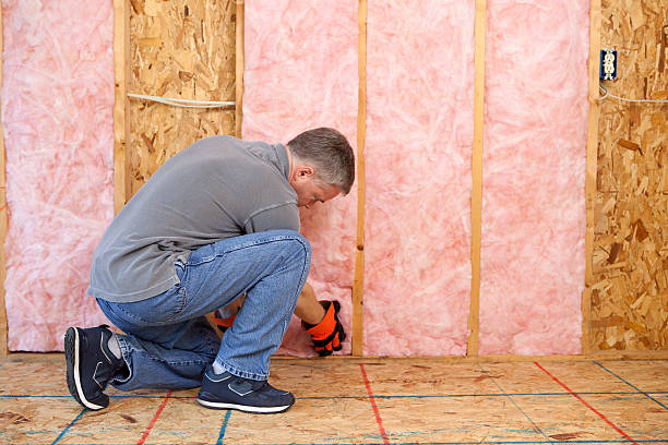 Best Insulation Maintenance and Repair in Eagle Pass, TX